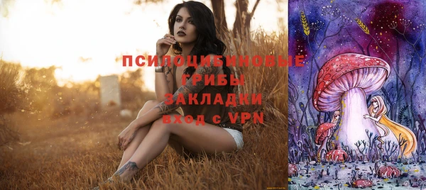 альфа пвп Гусиноозёрск