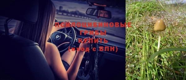 альфа пвп Гусиноозёрск