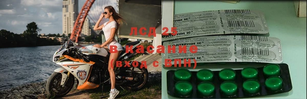 мескалин Гусев