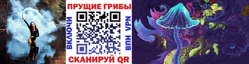 Купить  Тутаев  Псилоцибиновые грибы Psilocybine cubensis 
